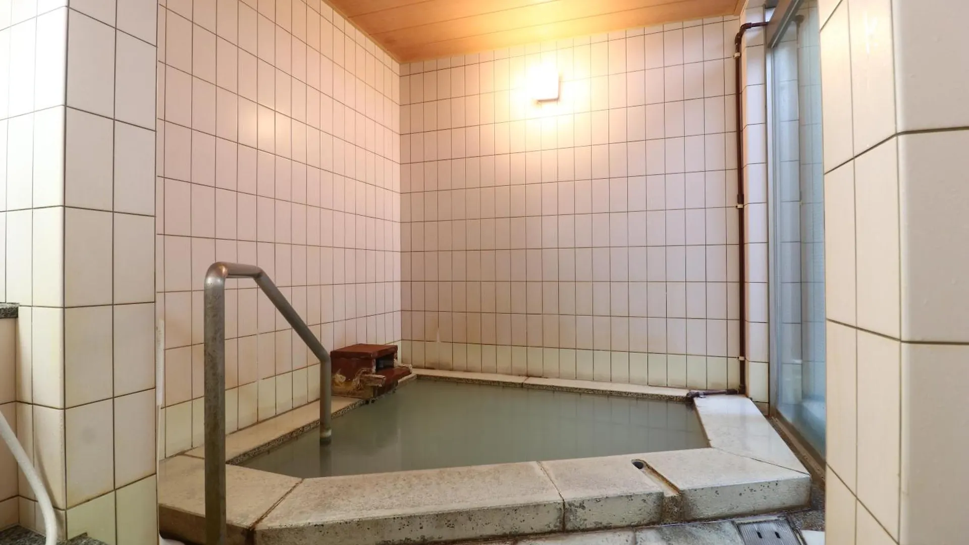 Ryokan Hotel Mitake Hakone
